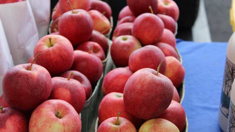 Wallpaper from food category
