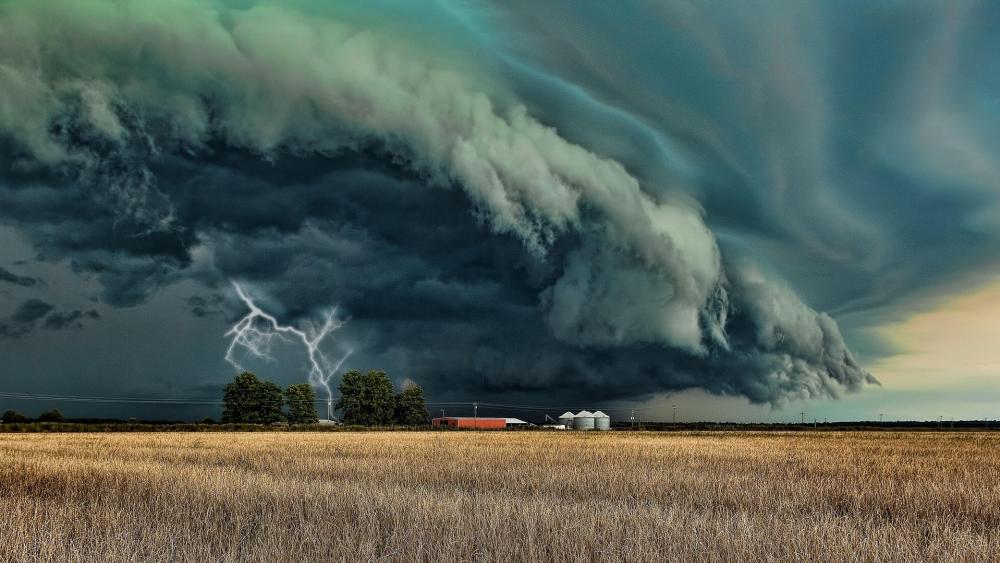 Wallpaper from nature category