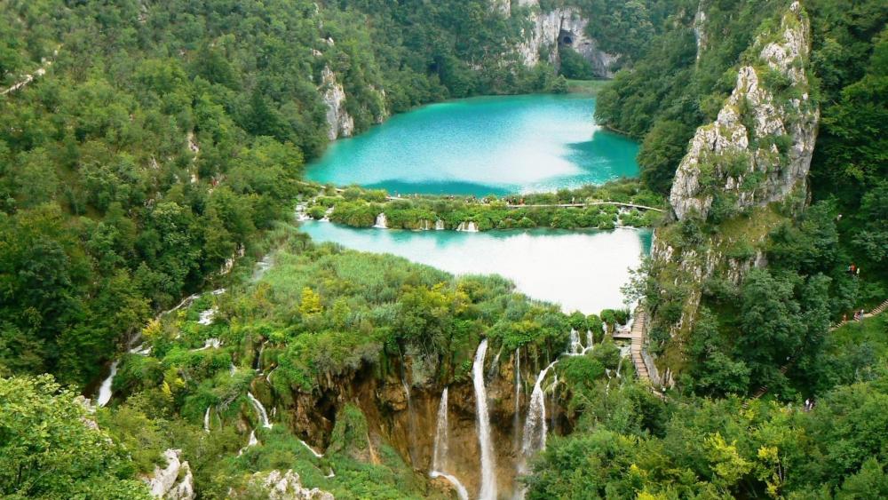 Wallpaper from nature category