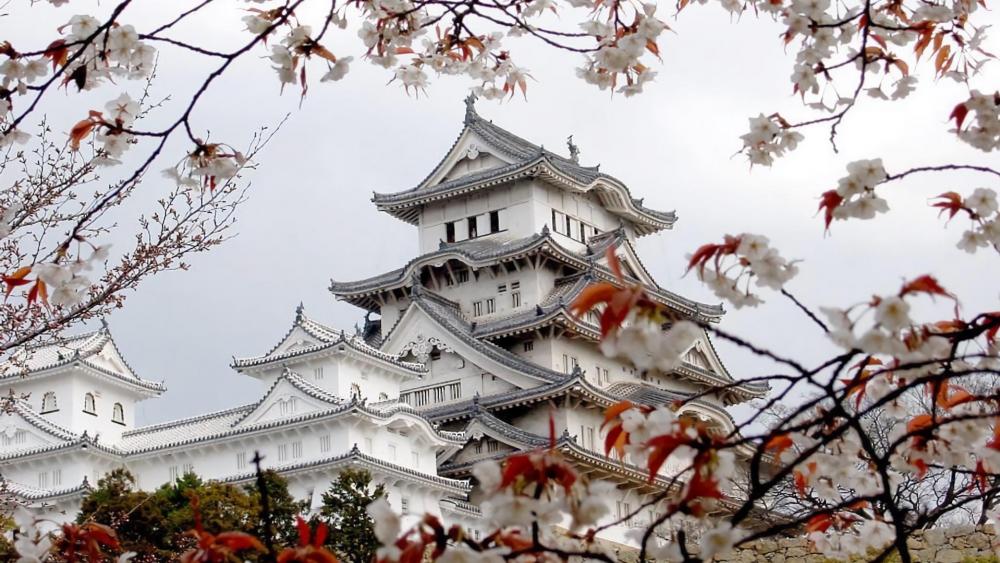 Himeji Castle - Japan wallpaper