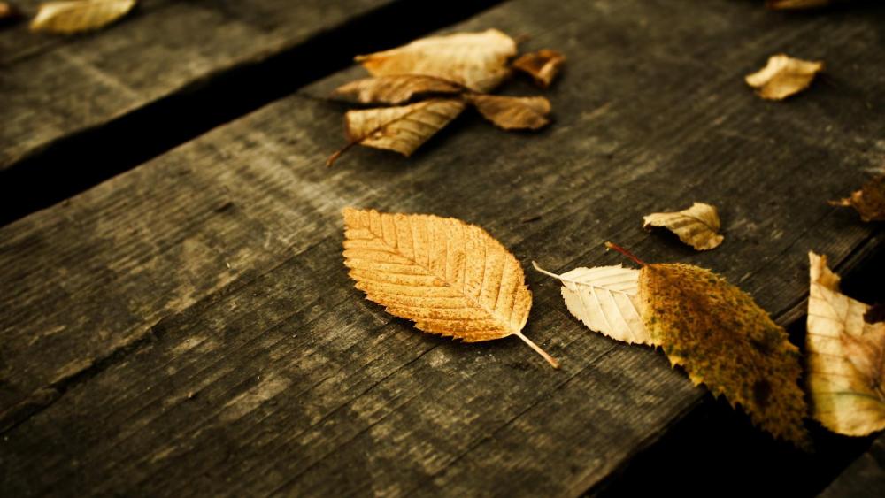 Autumn leaves on wood wallpaper