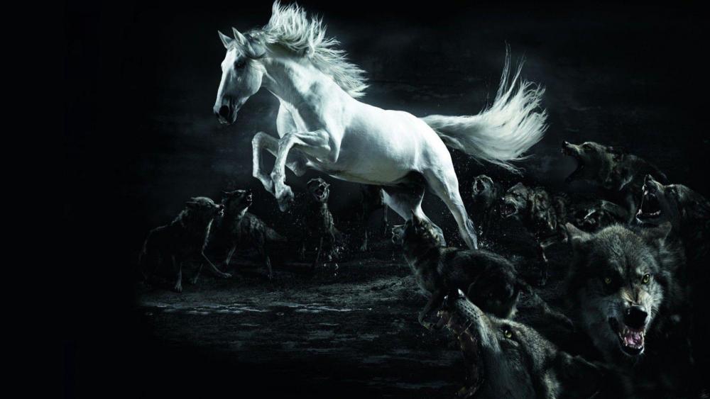 White horse among wolves wallpaper