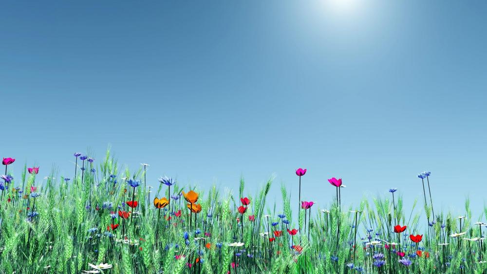 Wildflowers in the grass  wallpaper