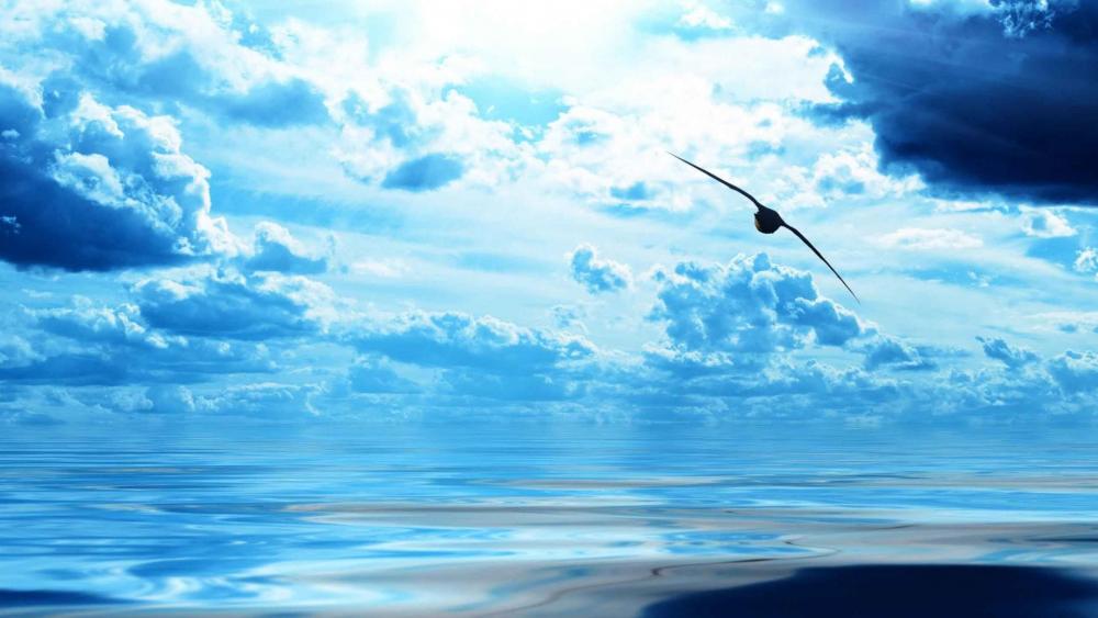 Blue sea with flying bird wallpaper