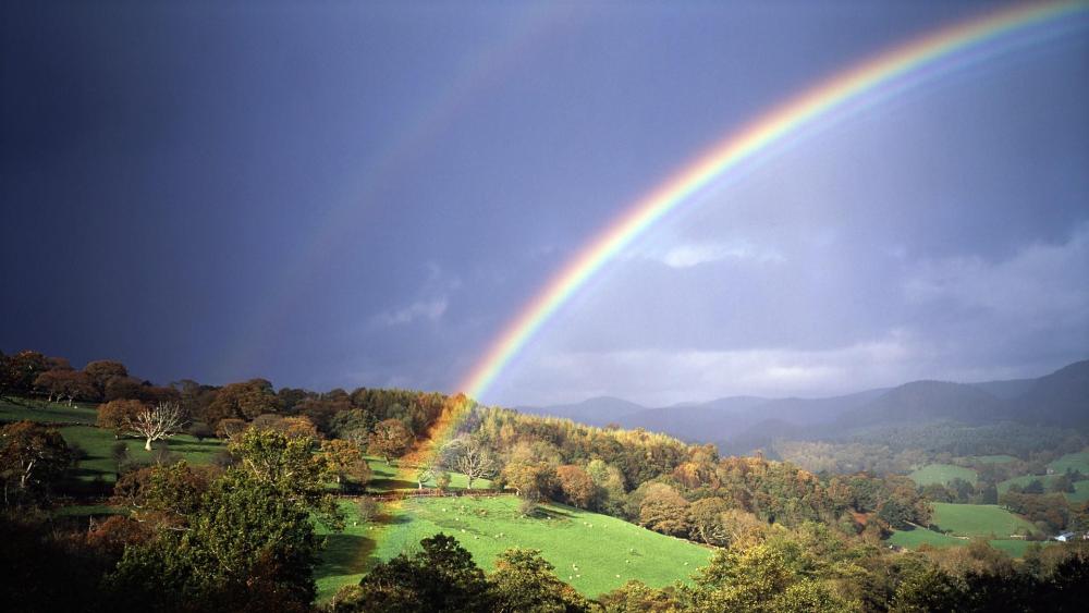 Rainbow over the hill  wallpaper