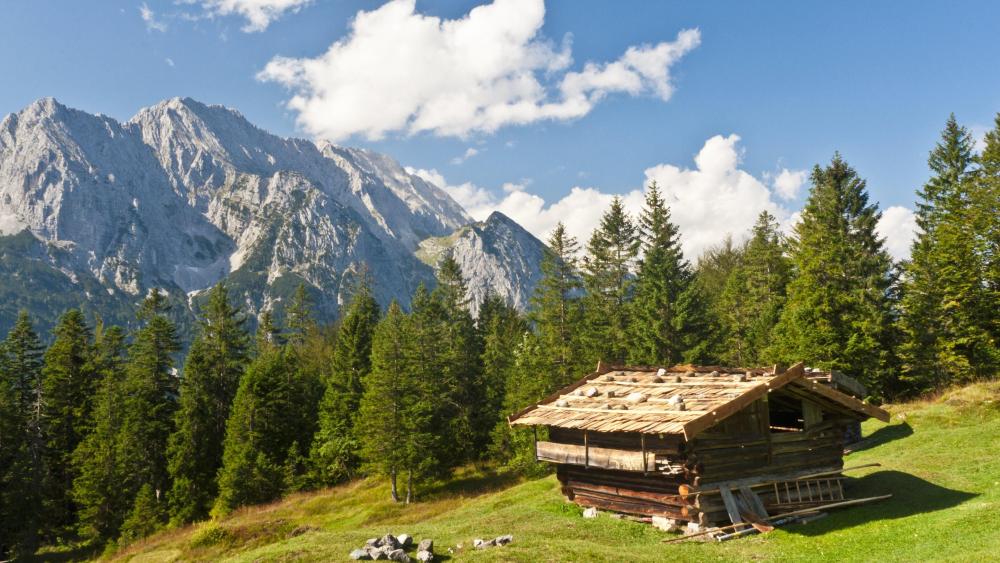 Small wooden cabin in the forest from Bavaria wallpaper