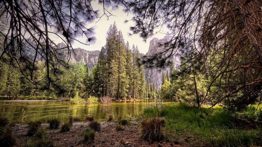Landscape of Yosemite National Park wallpaper