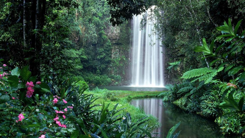 Millaa Millaa Waterfall in the rainforest - Australia wallpaper