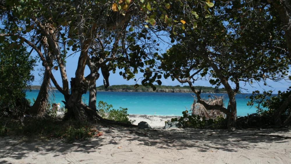 Vieques National Wildlife Refuge - Vieques Island, Puerto Rico wallpaper