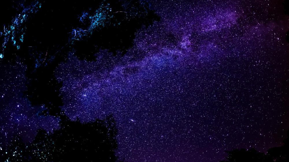 Milky way in the night sky wallpaper