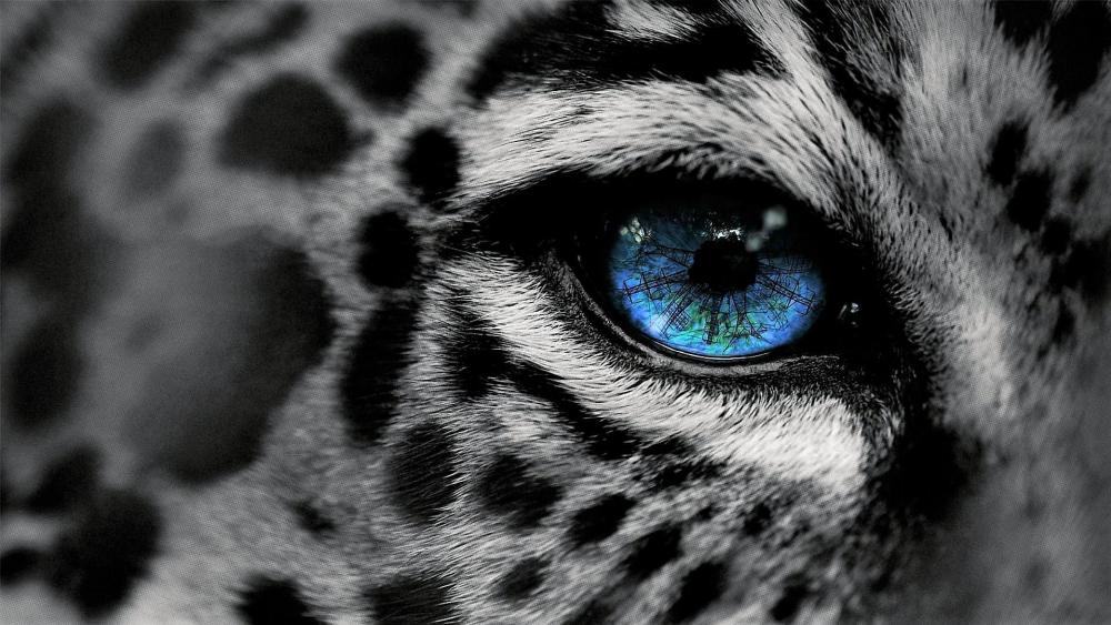 Black White Jaguar wallpaper