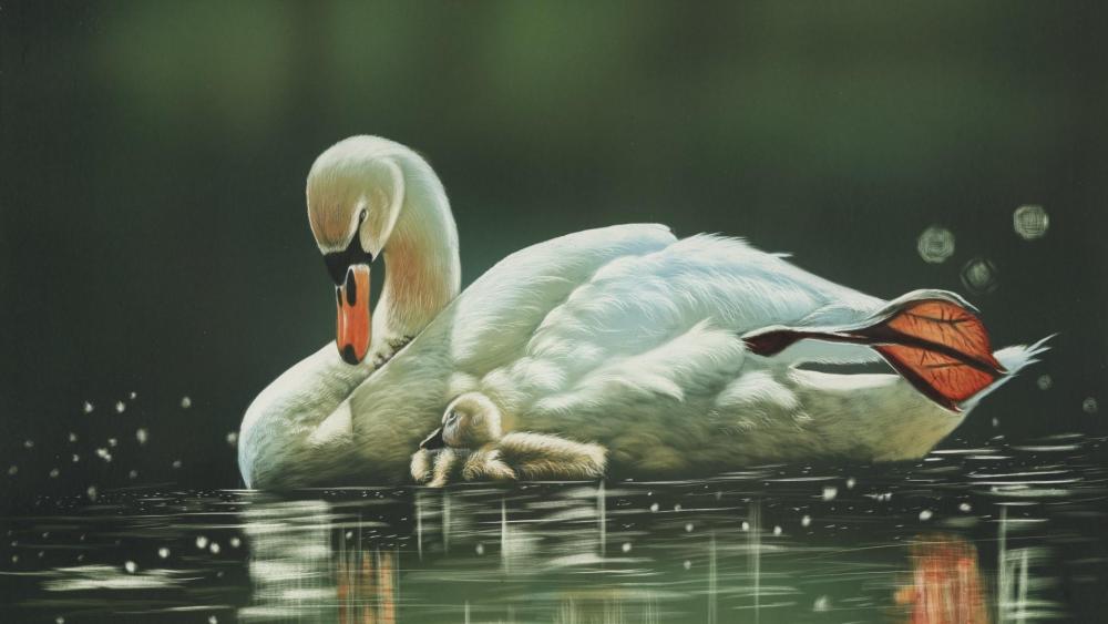 Swan family wallpaper