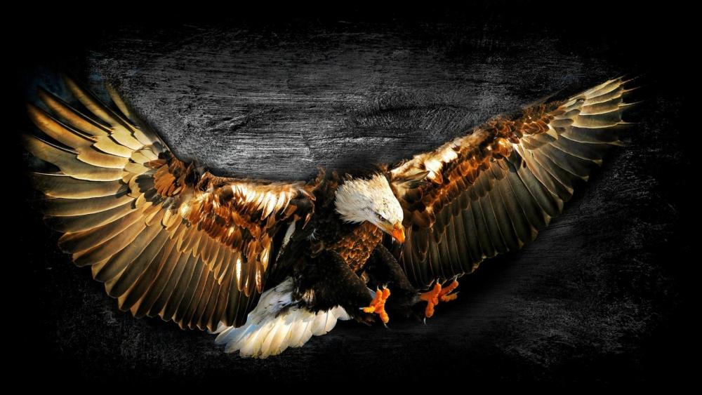 Flying eagle art  wallpaper