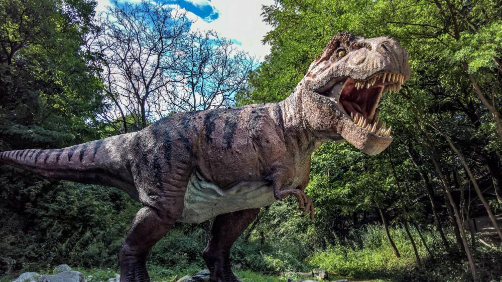 T-Rex dino in the Dino Park, Bratislava, Slovakia wallpaper