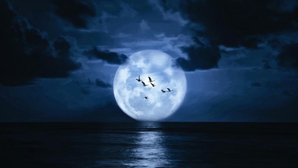 Supermoon on the night sky above the sea  wallpaper