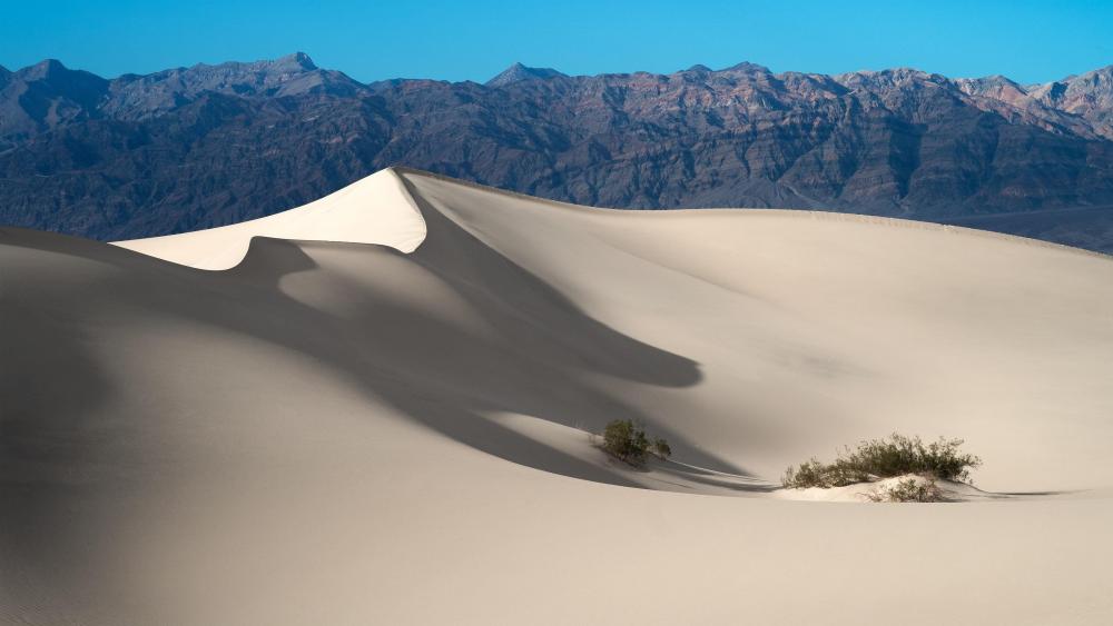 Mesquite Flat Sand Dunes Death Valley National Park California 