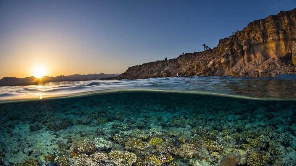 Sunset landscape with underwater corals wallpaper