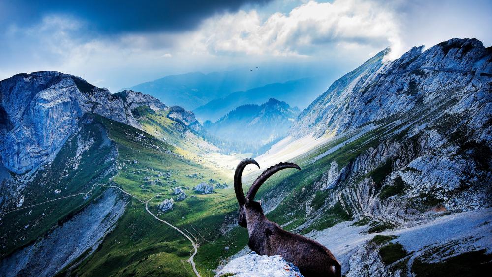 Mount Pilatus - Switzerland wallpaper