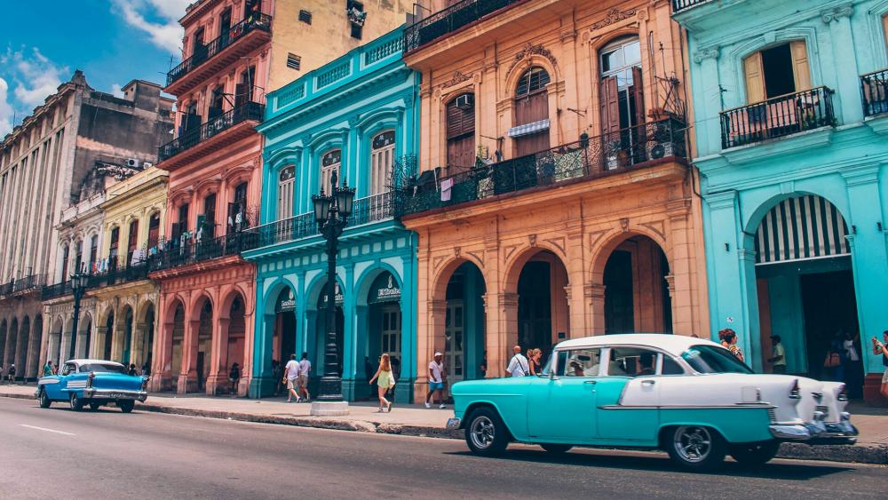 Colorful Havana with vintage cars wallpaper