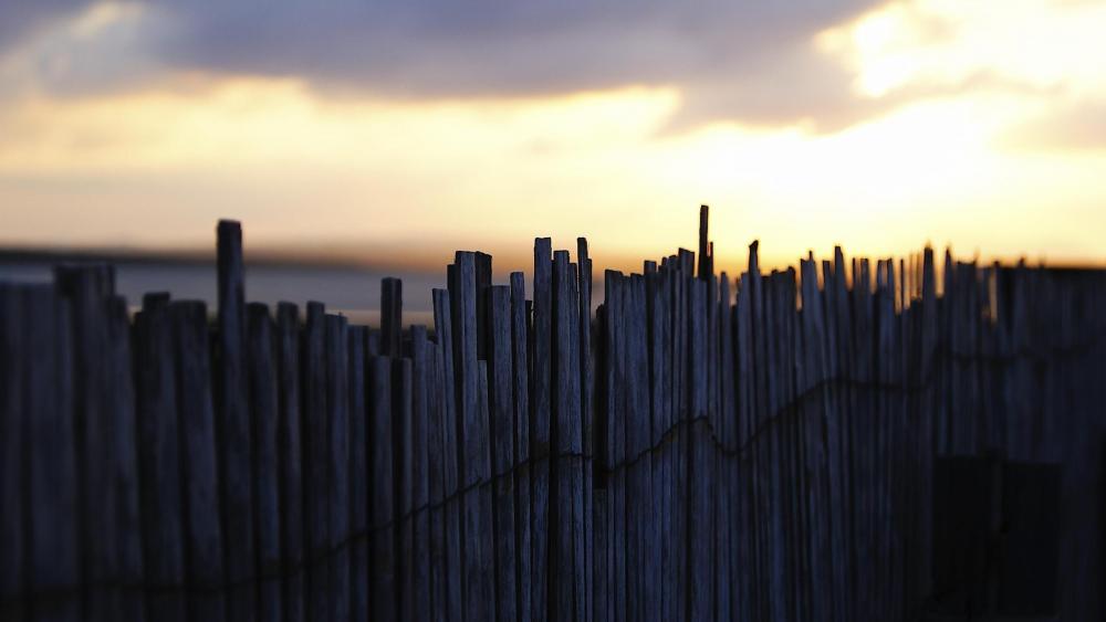 Fence under the sky in the afternoon wallpaper