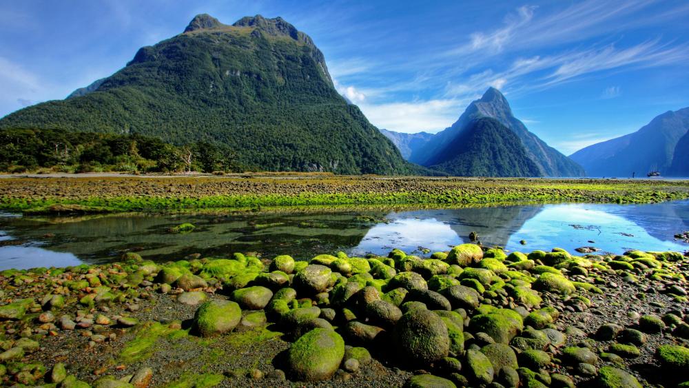 Milford Sound in Fiordland National Park - New Zealand wallpaper