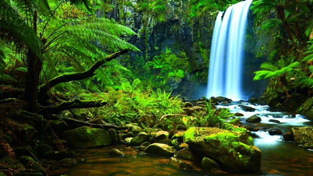 Amazon Rainforest waterfall wallpaper