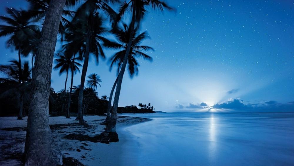 Starry night sky over the beach wallpaper