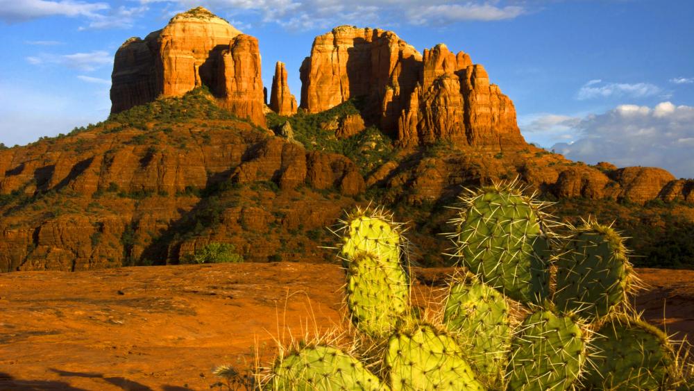 Cathedral Rock in Sedona, Arizona wallpaper