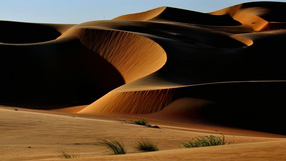 Desert dunes wallpaper