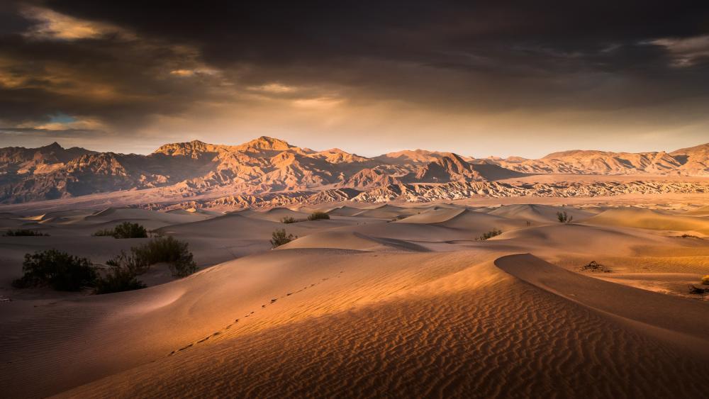 Sunrise over the Mesquite Flat Sand Dunes - Death Valley National Park wallpaper