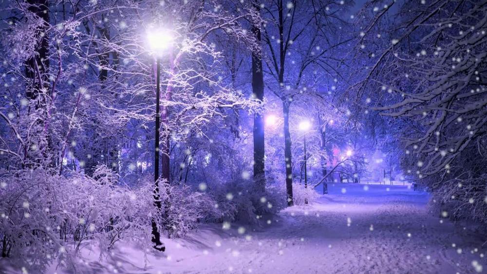 Snowing in the night park wallpaper
