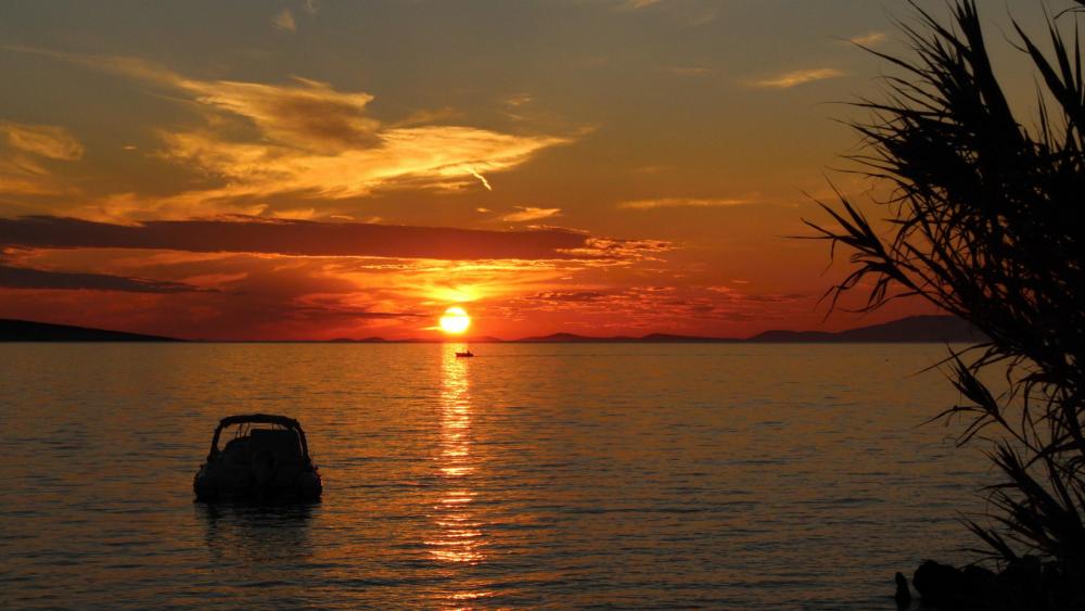 Sunset wallpaper