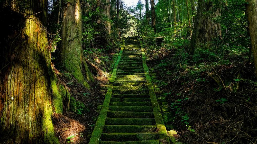 Kamishikimikumanoza forest shrine - Japan wallpaper