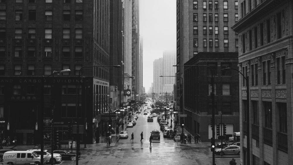 Streets of Chicago- Monochrome photography  wallpaper