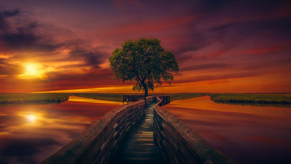 Wonderful fantasy sunset reflection wallpaper
