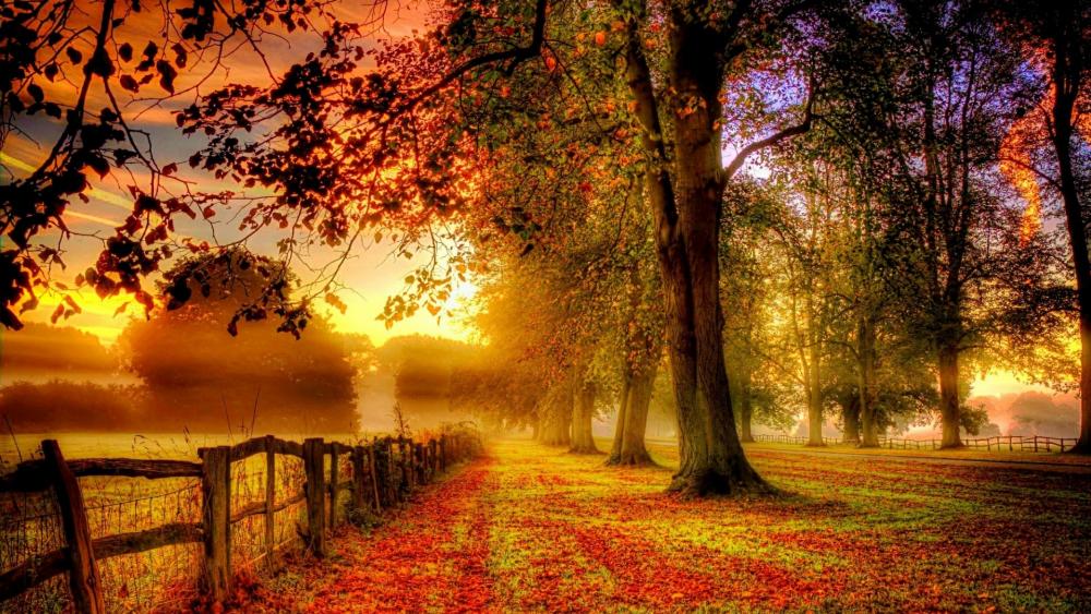 Long fence in the autumn scenery  wallpaper