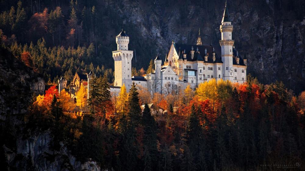 Neuschwanstein Castle (Germany) wallpaper - backiee