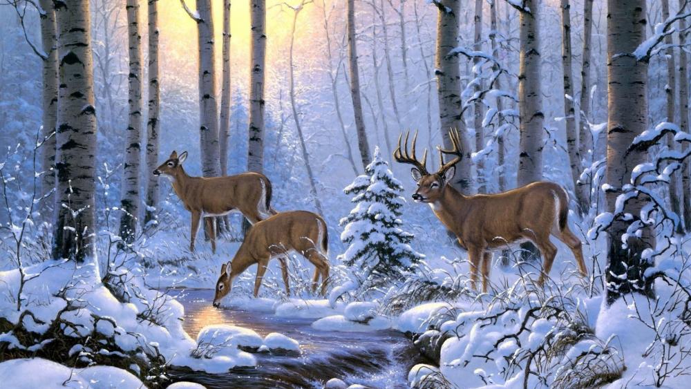 Whitetail deer in snow - Painting art wallpaper