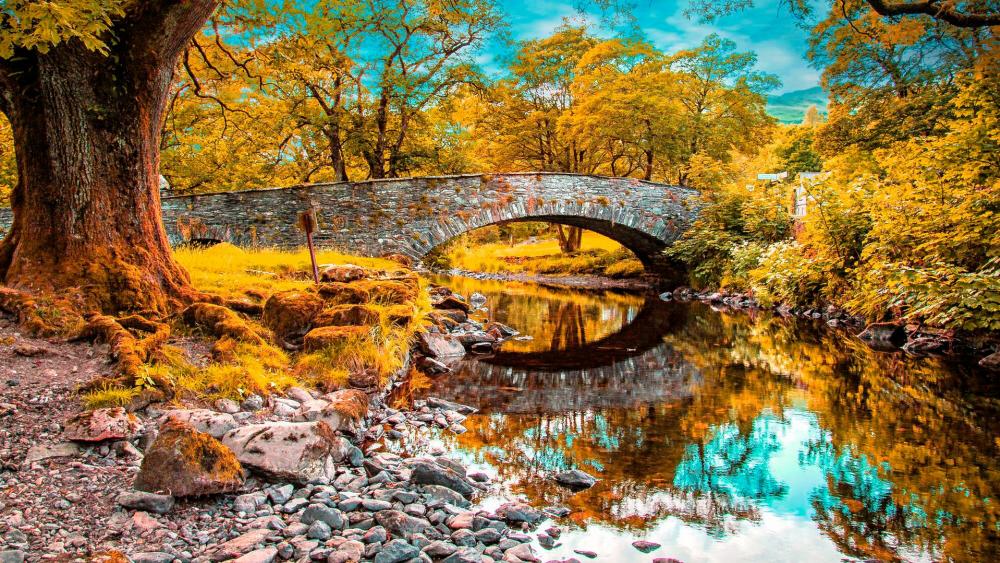 Autumn foliage above the stone bridge  wallpaper