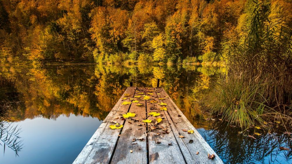 Autumn leaves on the pier wallpaper