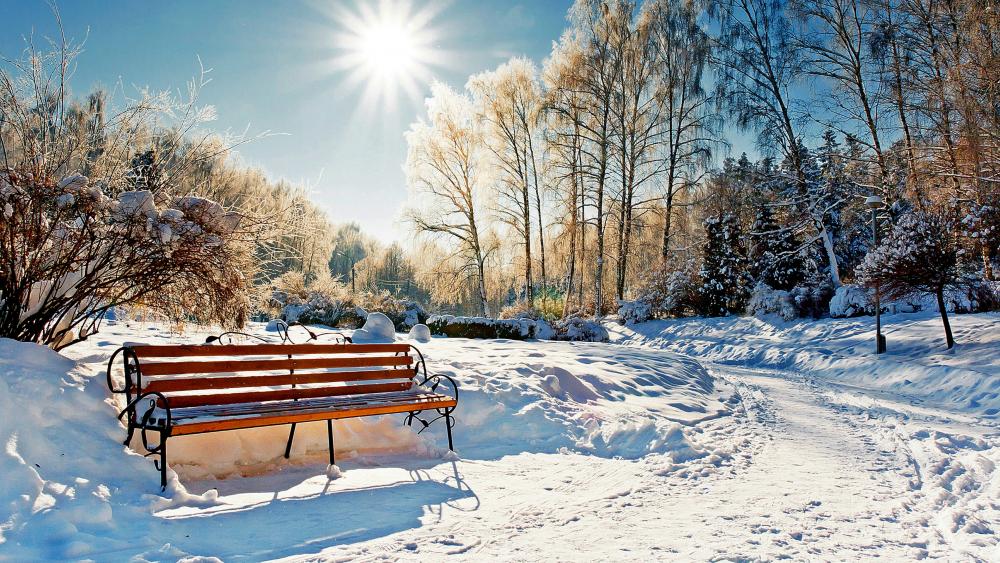 Winter park in the sunshine wallpaper