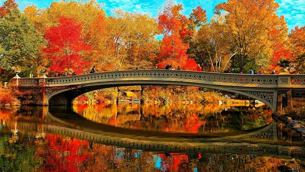 Bow Bridge (Central Park) wallpaper