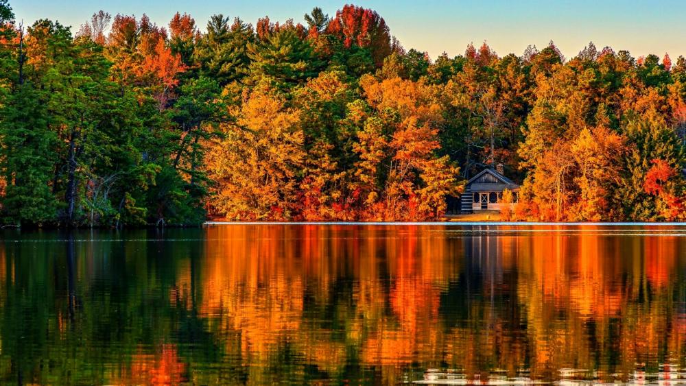 Autumn splendor on the lake wallpaper