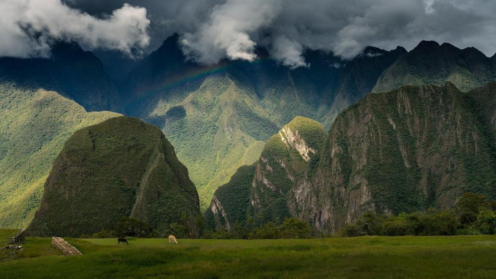 Machu Picchu - Peru wallpaper