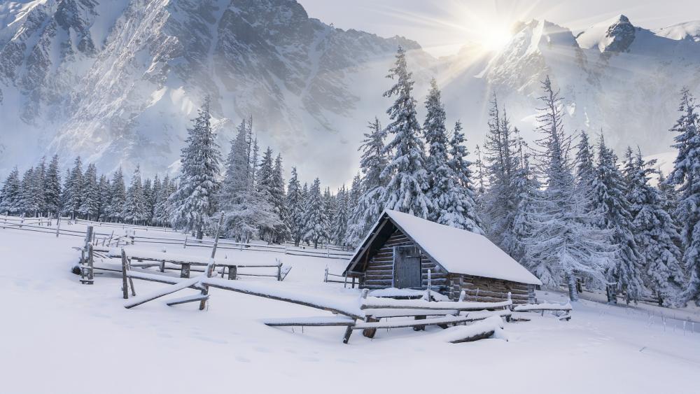 Little shack winter landscape wallpaper