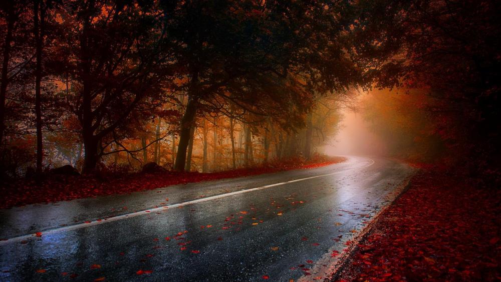 Wet road in the forest - Inspirational autumn wallpaper