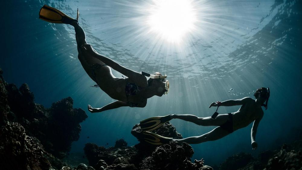 Divers wallpaper