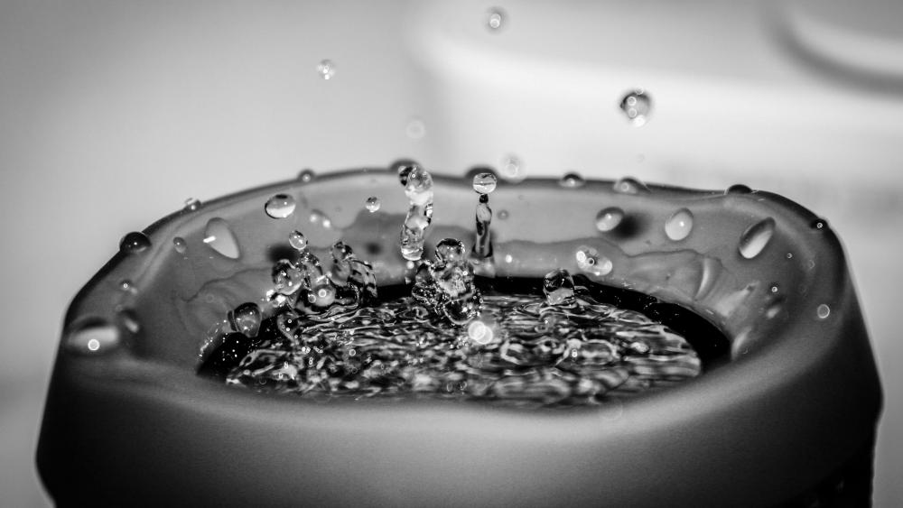 Waterdrops - Monochrome photography wallpaper