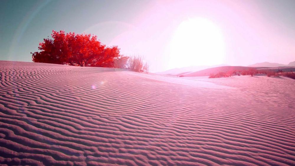 Desert landscape wallpaper
