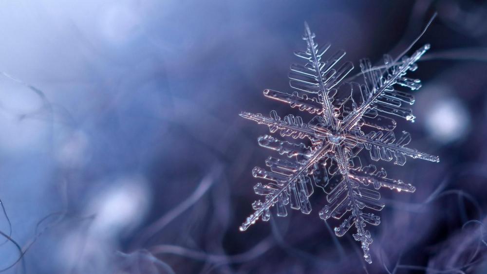 Frozen snowflake wallpaper